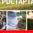 16 июля начался конкурсный отбор грантов "Агростартап" - Солнечный район