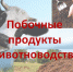 Управление Россельхознадзора по Хабаровскому краю, Еврейской автономной и Магаданской областям разъясняет хозяйствующим субъектам о необходимости отнесения веществ, образуемых при содержании сельскохозяйственных животных, к побочным продуктам животноводства, а также разработки технических условий - Солнечный район