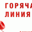 Комитет по делам молодежи Правительства Хабаровского края 31 октября 2025 г. проводит телефонную "горячую линию" - Солнечный район
